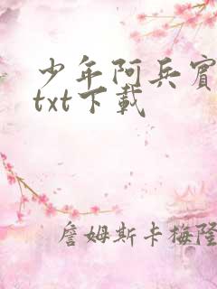 少年阿兵宾小说txt下载