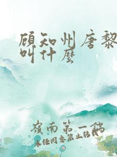 顾知州唐黎书名叫什么