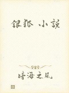 银狐 小说
