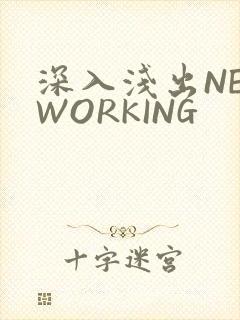 深入浅出NETWORKING