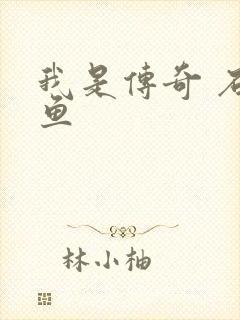 我是传奇 石章鱼