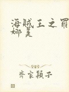 海贼王之罗宾h娜美