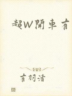 超W开车有过程