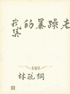 我的暴躁老妈全集