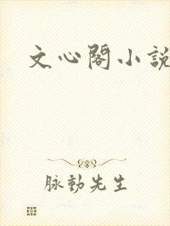 文心阁小说