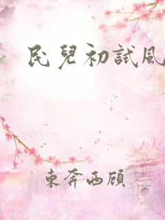 民儿初试风雨录