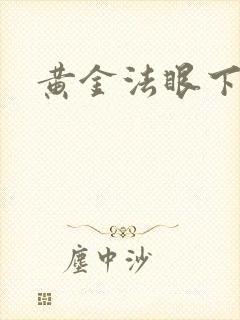 黄金法眼下载