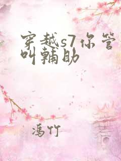 穿越s7你管这叫辅助