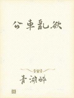 公车乱欲