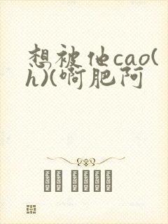 想被他cao(h)(啊肥阿