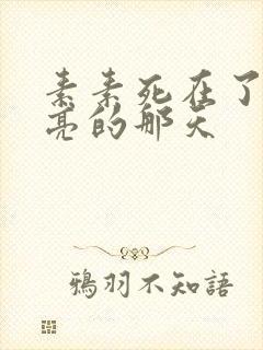 素素死在了最漂亮的那天