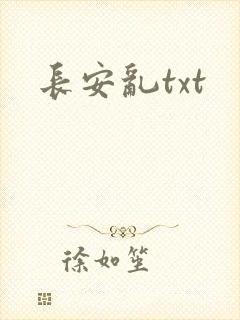 长安乱txt