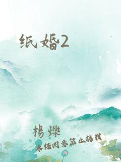 纸婚2