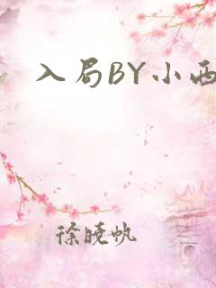 入局BY小西