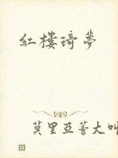 红楼琦梦