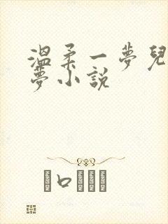 温柔一梦儿媳林梦小说