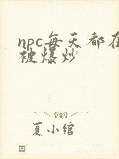 npc每天都在被爆炒