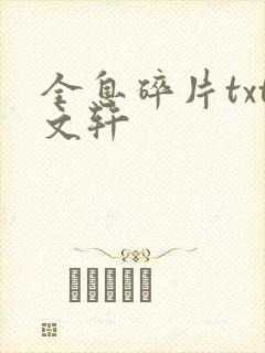 全息碎片txt文轩