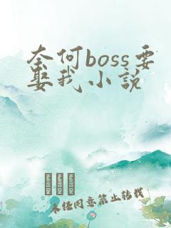 奈何boss要娶我小说