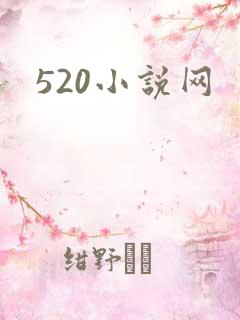 520小说网