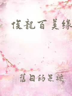 俊龙百美缘小说