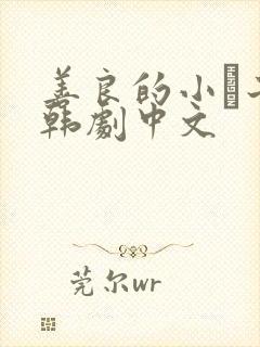 善良的小峓子2韩剧中文