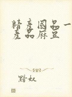 精产国品一二三产品麻豆