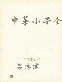 中华小子全集