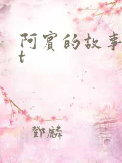 阿宾的故事txt