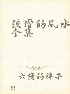 狡猾的风水相师全集