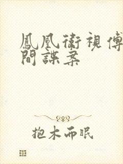 凤凰卫视傅晓田间谍案