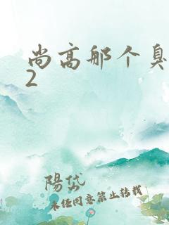 尚高那个臭小子2