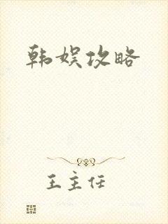 韩娱攻略