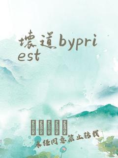 坏道bypriest