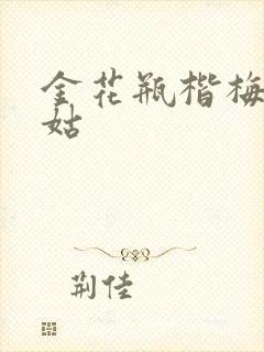 金花瓶楷梅花尼姑