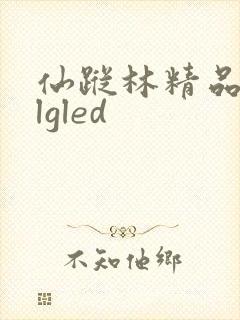 仙踪林精品zzlgled