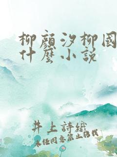 柳颜汐柳国安是什么小说