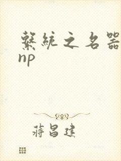 系统之名器攻略np