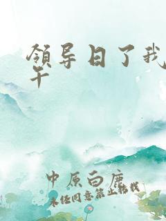 领导日了我一下午