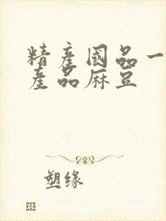 精产国品一二三产品麻豆