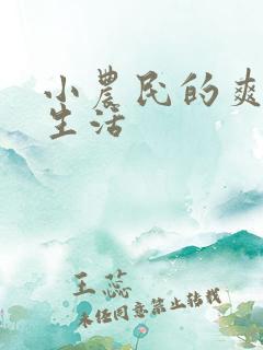 小农民的爽歪歪生活