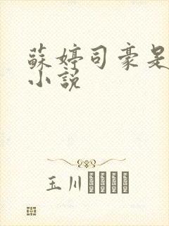 苏婷司豪是什么小说