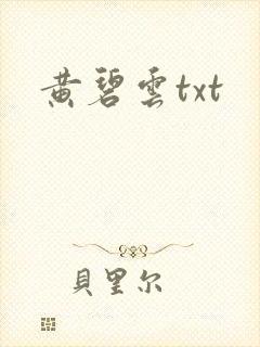 黄碧云txt