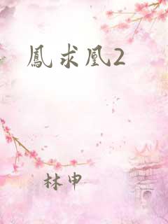 凤求凰2