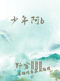 少年阿b