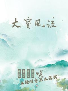 大宝风流