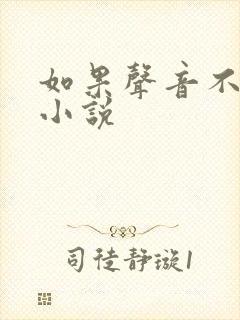 如果声音不记得小说