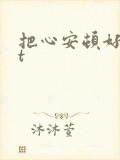 把心安顿好txt