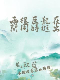 两根巨龙在她腿间同时进出