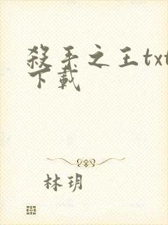 杀手之王txt下载
